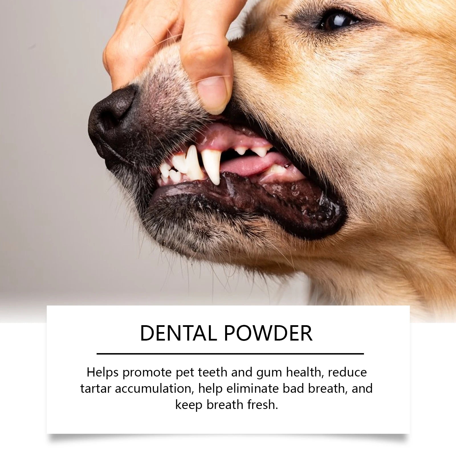 Pet Dental Powder 150g Enzymes & Probiotics Plaque & Tartar Control Breath Freshener for Dogs Oral Care Dog Cleaning Products