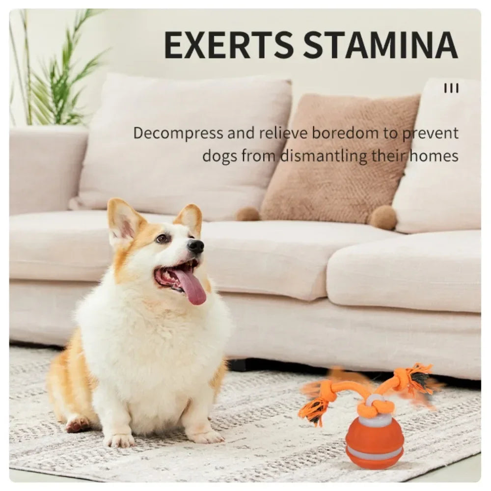 Pet Ball for Dogs Interactive Toys Motion Activate Rolling Ball for Puppy/Small Dogs Automatic Moving Toy USB Rechargeable Toy