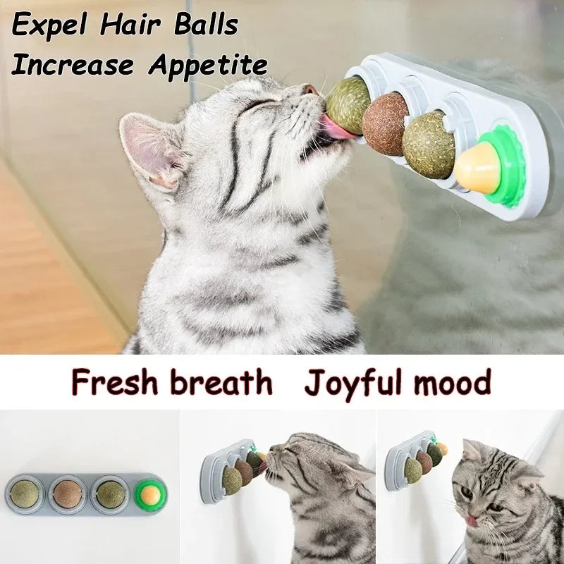 4 in 1 Rotating Catnip Silver Vine Ball Teeth Cleaning Acne Prevention Digestive Health Wall Stick on Toy Edible Safe Material