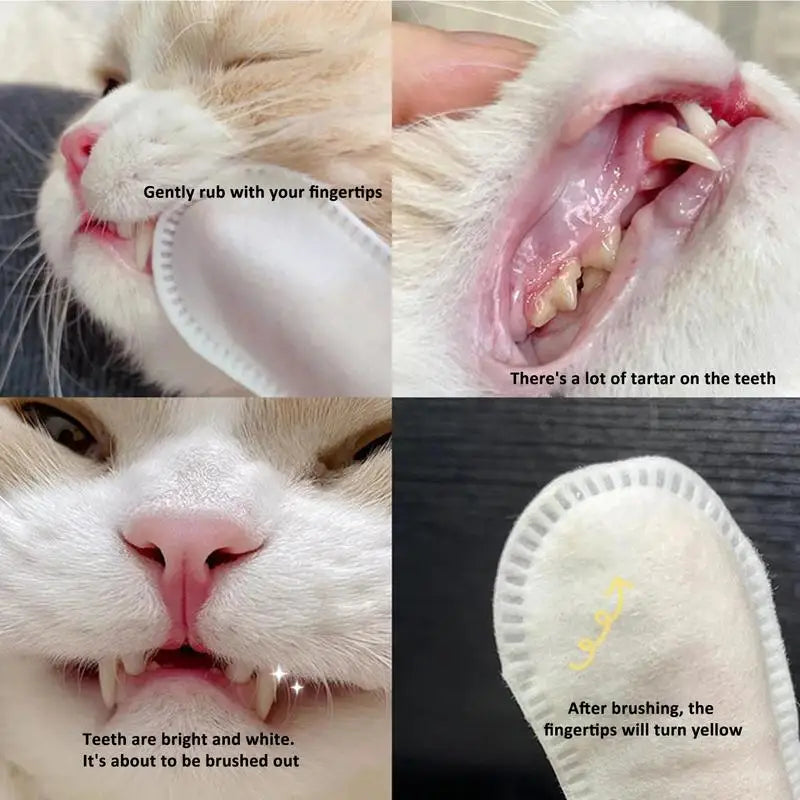 Pet Disposable Cleaning Wipes Dog Teeth Cleaning Finger Wipes Cat Ear and Eye Beauty Wipes Cat Hygiene and Beauty Products 50pcs
