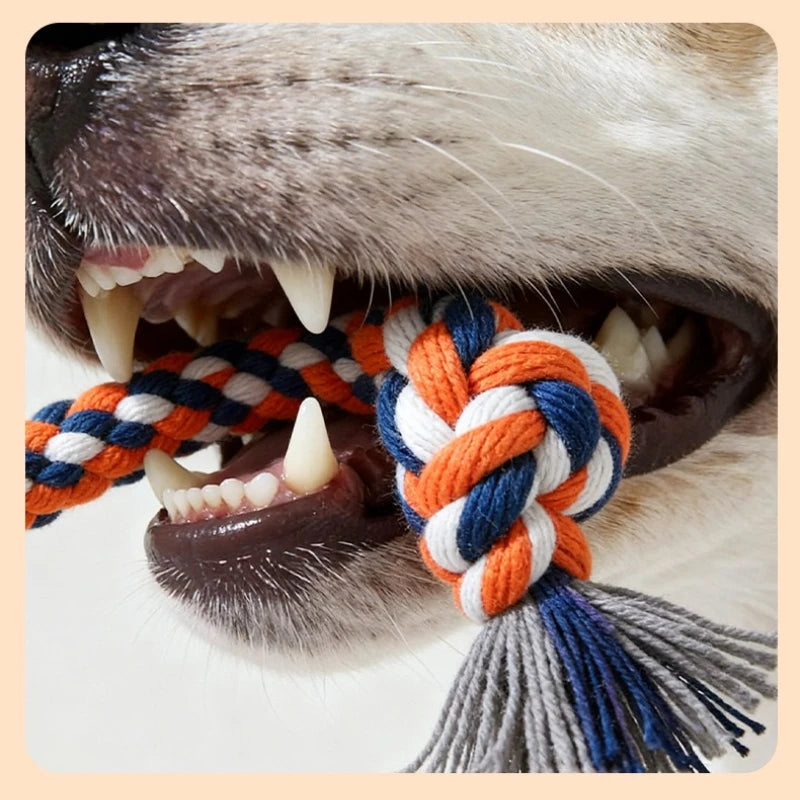 Corduroy Plush Dog Chew Toy with Cotton Rope Built-in Squeaker Tear Proof Interactive Teeth Grinding Play Supplies for Small