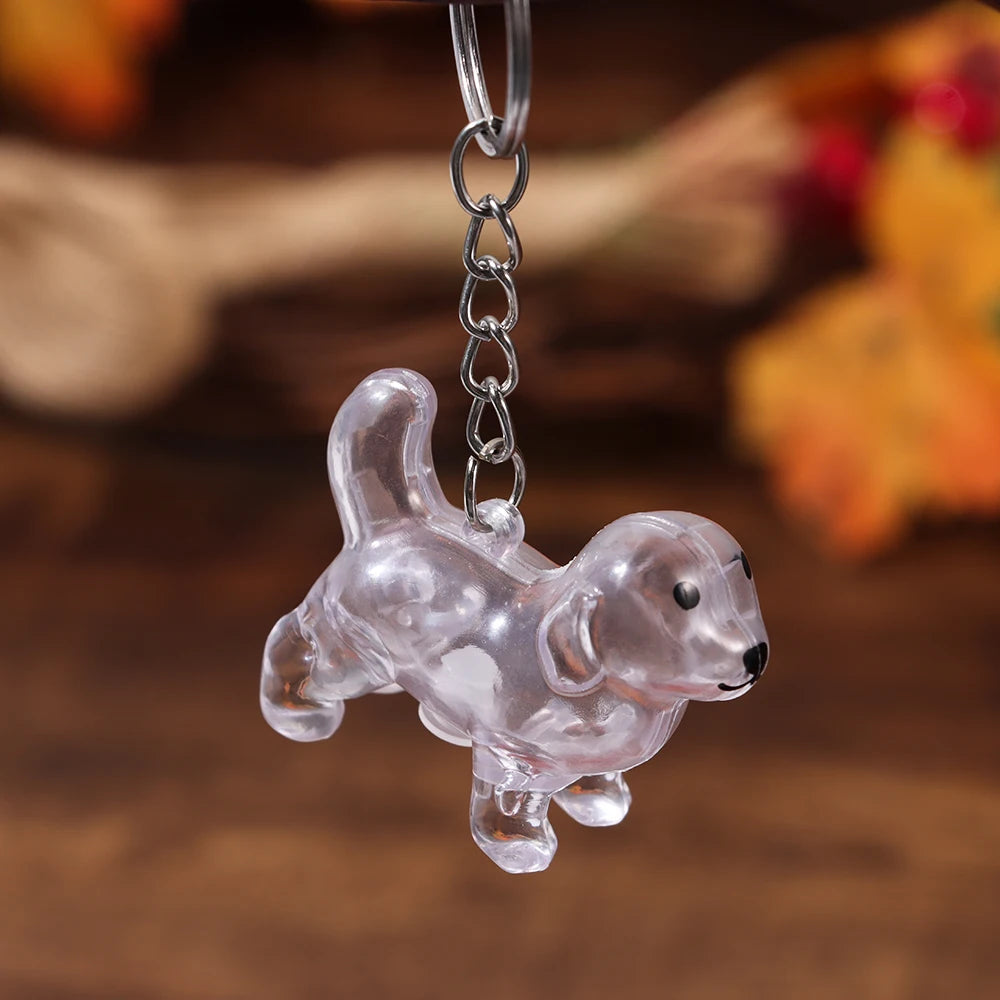 Transparent Dog Fur Storage Pendant Fur Storage Capsule Cute Portable Souvenirs Keychain DIY Accessories Dog Shape Keychain