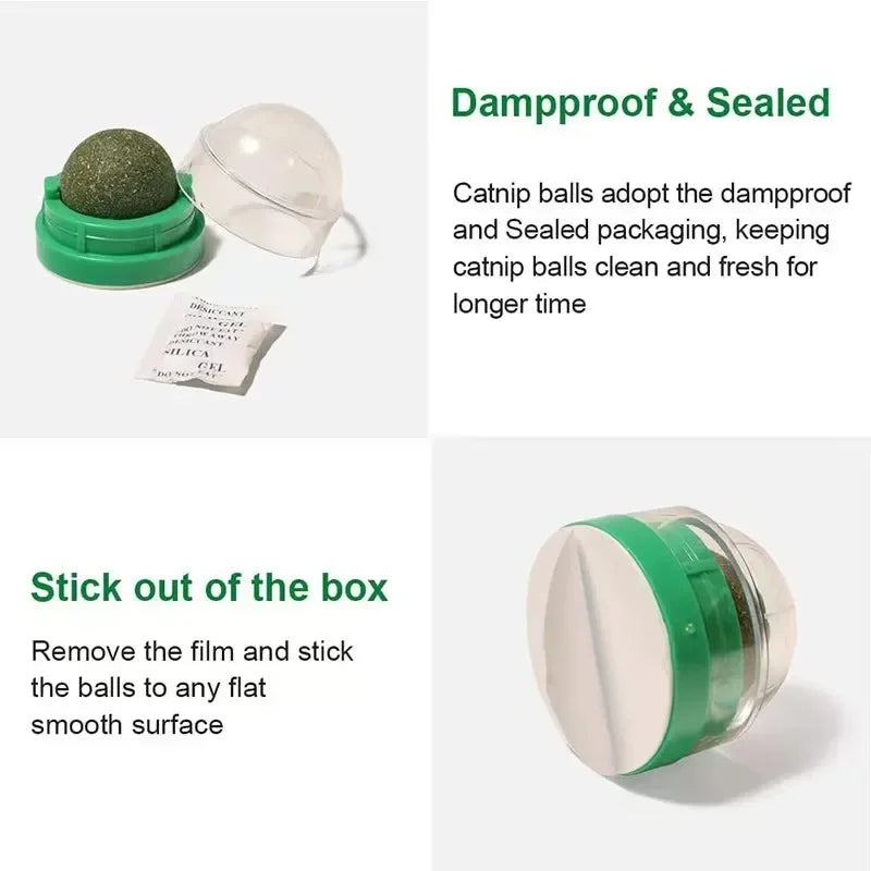 Cat Toy Catnip Cat Wall Stick-on Ball Toy Scratchers Treats Healthy Natural Removes Balls to Promote Digestion Cat Grass Snack