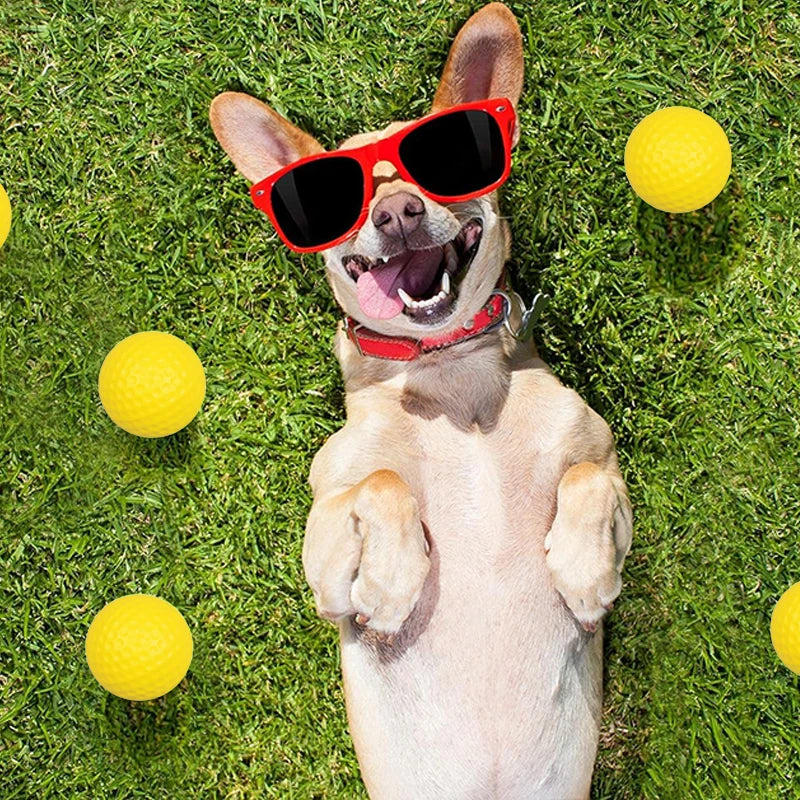 2~10pcs Durable Dog Chewing Squeak Toy Ball Outdoor Throwing Dog Recovery Training Pet Supplies Small Dog Tennis Play TMZ