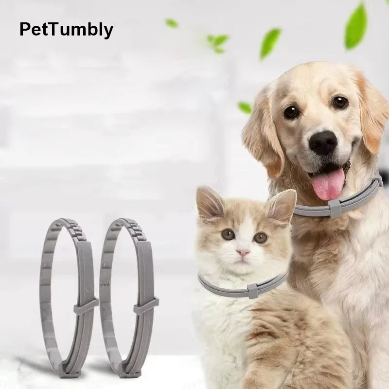 Dog Collars Puppy Dog Cats 72cm 38cm for Small Dogs Kitten Collar Adjustable Pets Items Accessories Gray Blue Balck Pink Purple