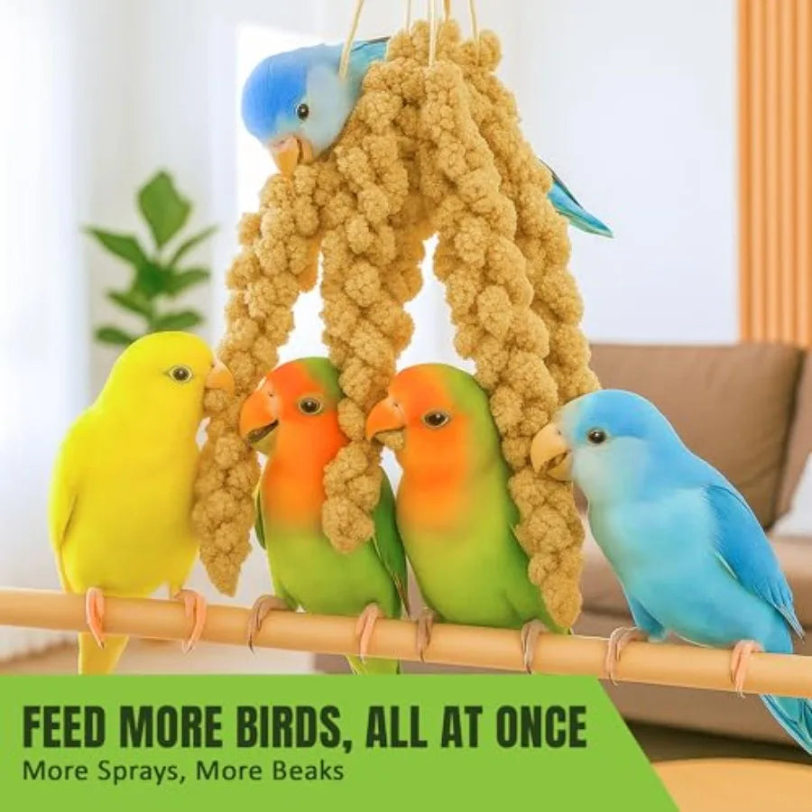 Bird Spray Millet for Parakeets Finches Canaries Budgies Small Birds, Sun-Dried Vacuum-Sealed Freshness, Yellow Brown Color