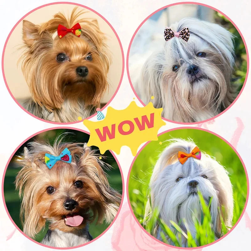 Small Dogs Cats Hair Bows 30 PCS With Rubber Band Handmade Movable Puppy Bows for Yorkie Shih Tzu Grooming Daily Party Pet