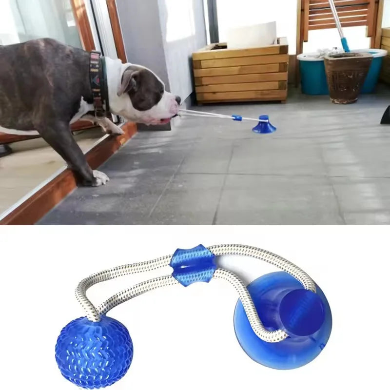 Dog Toy Ball Interactive Suction Cup Push TPR Ball Toys Molar Bite Toy Elastic Ropes Dog Tooth Cleaning Self Play Chewing Supply