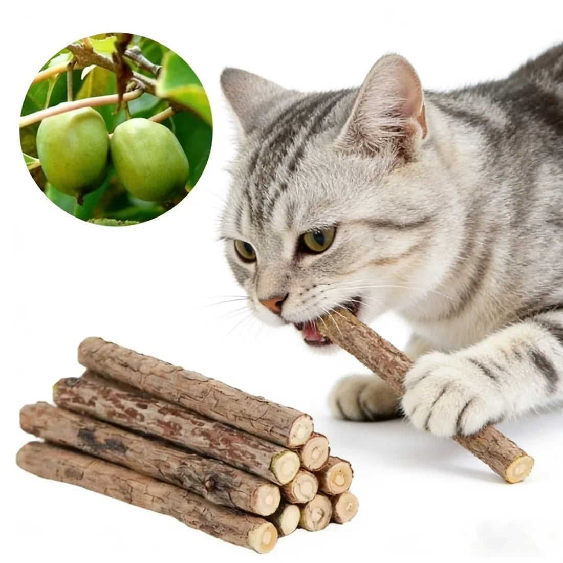 20Pcs 4-6mm Catnip Chew Sticks, Natural Woodruff Cat Toys - for Teeth Cleaning & Kitten Entertainment Actinidia Silvervine