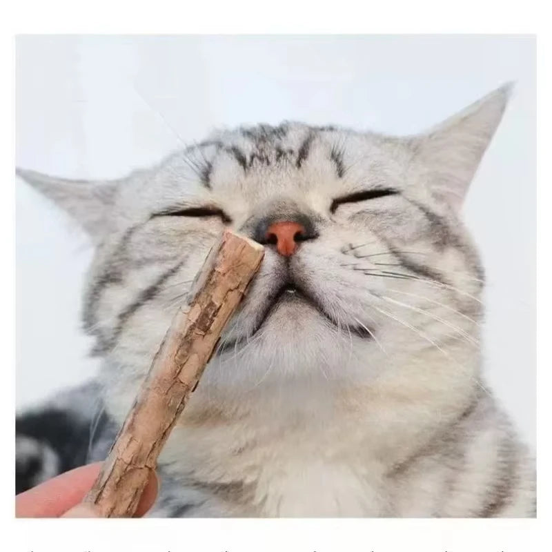 20Pcs 4-6mm Catnip Chew Sticks, Natural Woodruff Cat Toys - for Teeth Cleaning & Kitten Entertainment Actinidia Silvervine