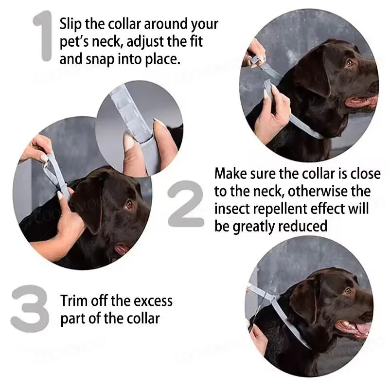 Dog Collars Puppy Dog Cats 72cm 38cm for Small Dogs Kitten Collar Adjustable Pets Items Accessories Gray Blue Balck Pink Purple