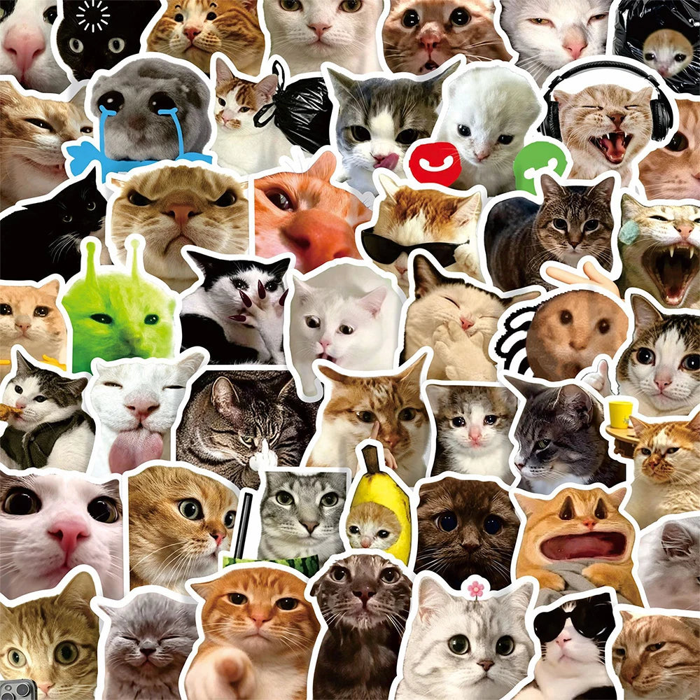 10/50/100pcs Funny Cat Meme Cartoon Stickers Waterproof DIY Laptops Water Bottles Phones  Cute Animal Decals Toys Gifts