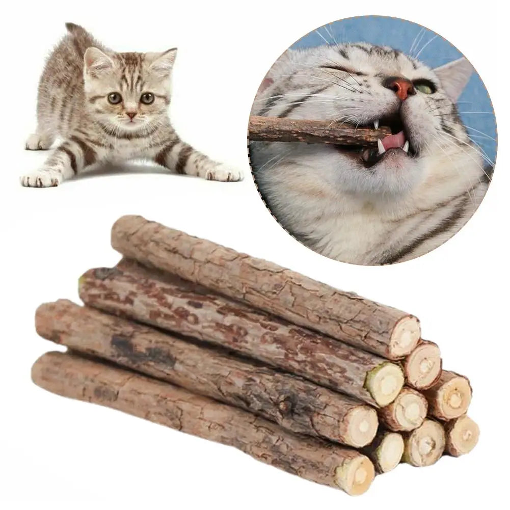 Natural Matatabi Cat Catnip Toy Kitten Molar Chew Stick Pet Cleaning Teeth Cat Treat Toy Actinidia Silvervine Pet Products