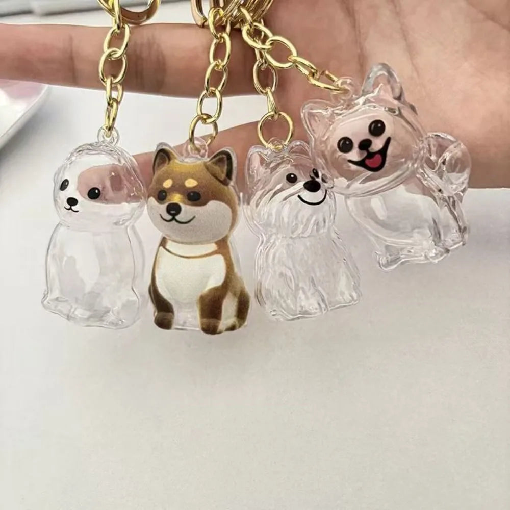 Transparent Dog Fur Storage Pendant Cute DIY Accessories Portable Souvenirs Keychain Fur Storage Capsule Pet Hair Container