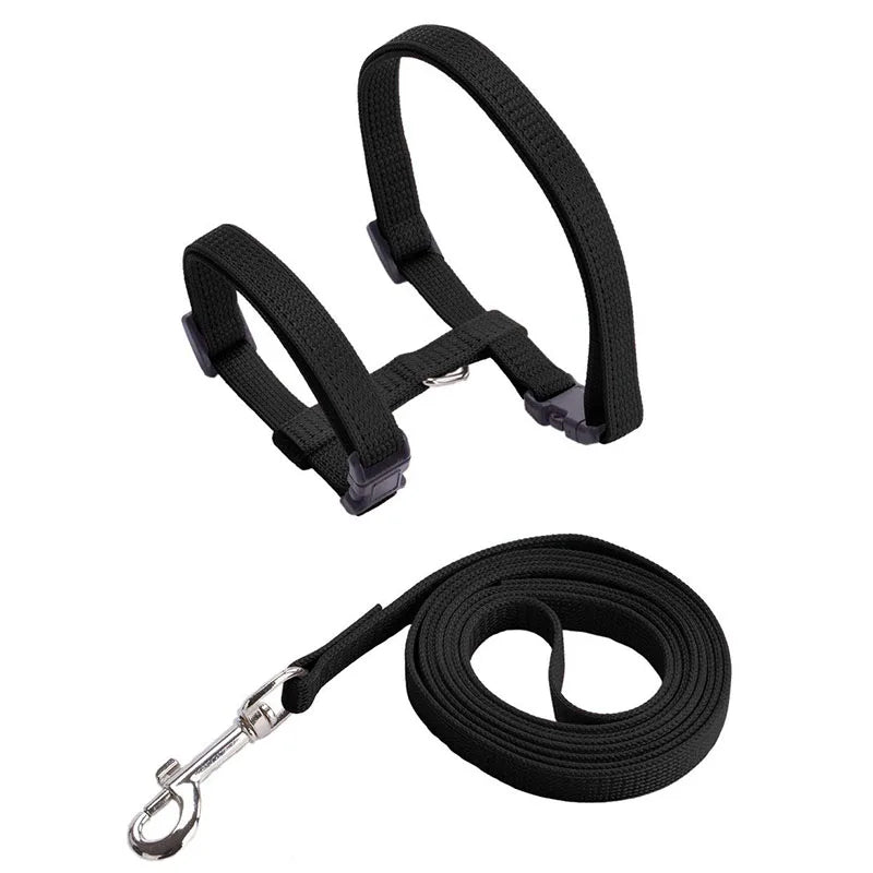 Kitten Cat Harness Leash Set Walking Escape Proof Adjustable Nylon Halter Collar Harness for Cats Puppy Rabbit Pet Accessories