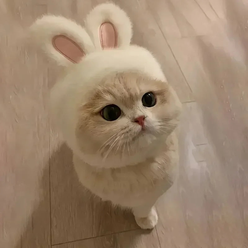 1Pc Bunny Ears Cat Hat, Polyester Knit Pet Headwear Costume, Stretchy Cap for Cats Small Dogs, Easter Birthday Photo Prop