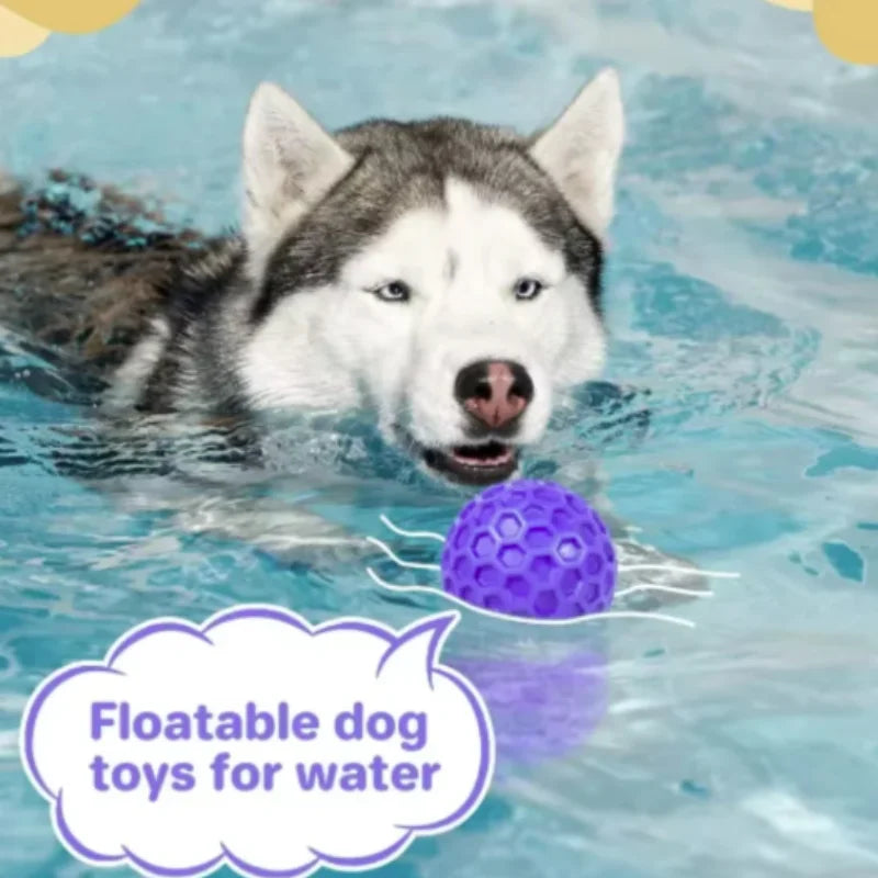 New Dog Toys Bite Resistant Interactive Throwing Sound Honeycomb Balls Natural Rubber Teething Clean Teeth Toys Pet Products