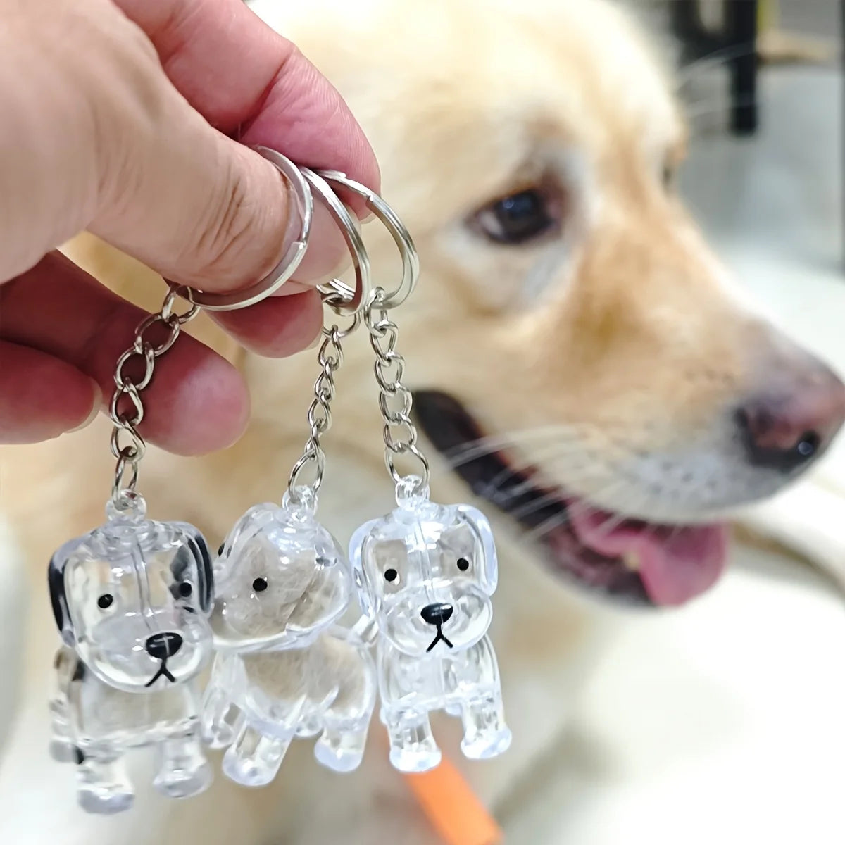 Transparent Cat/Dog Hair Collection Capsule Keychain Kawaii Memorial Pet Cat Dog Hair Capsule for Keychain DIY Pendant Accessory