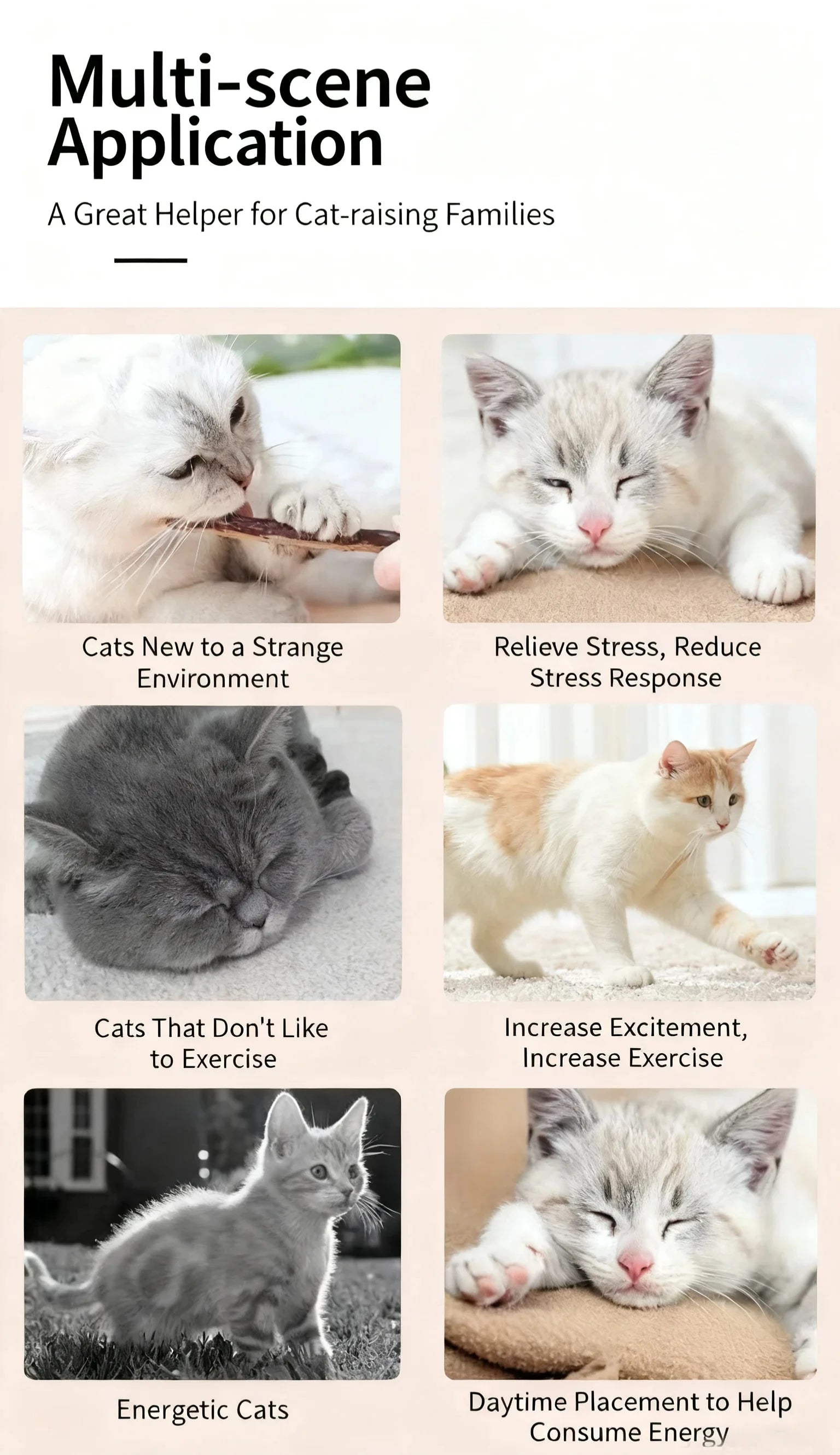 20Pcs 4-6mm Catnip Chew Sticks, Natural Woodruff Cat Toys - for Teeth Cleaning & Kitten Entertainment Actinidia Silvervine