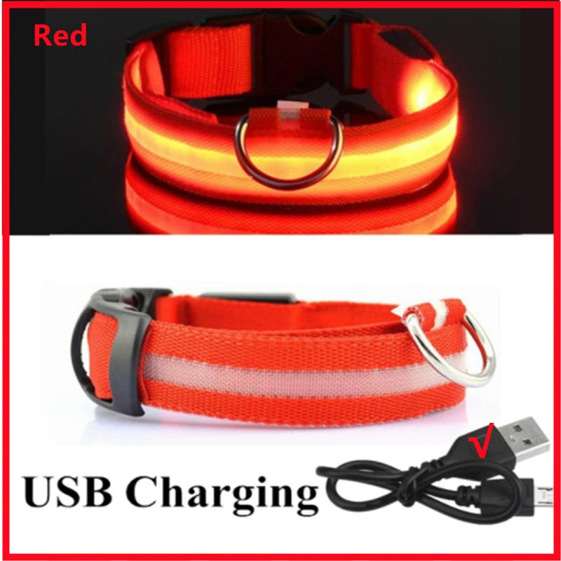 LED Luminous Collar Adjustable Glowing Dog Collar USB Rechargea  Flashing Anti-Lost/Avoid Car Accident Collar Dogs Pet Products