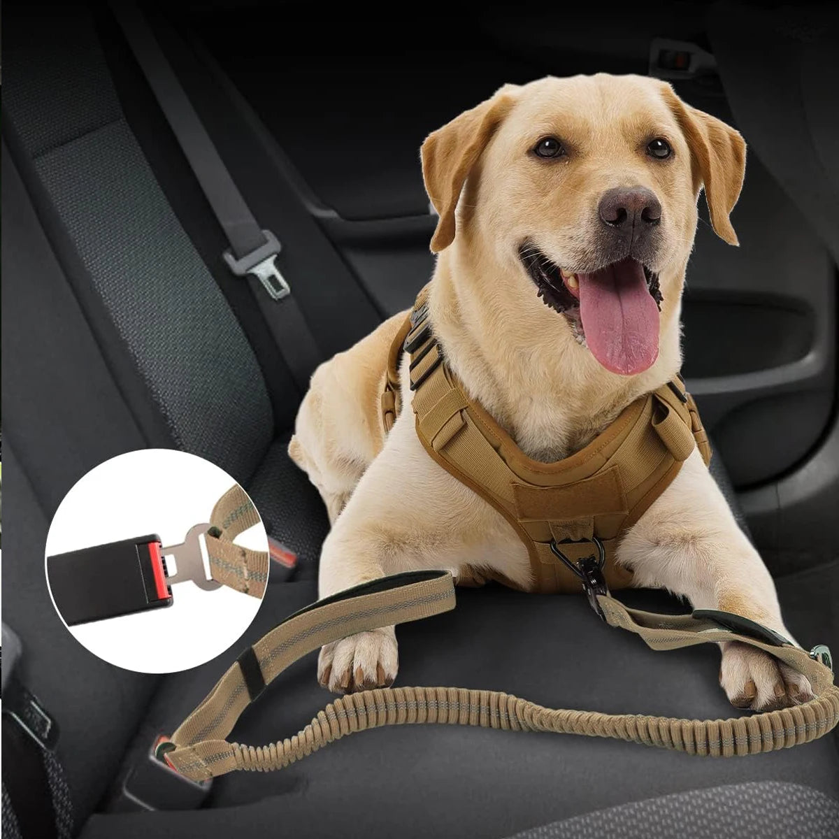 Reflective Explosion-proof Leash for Large Dogs Lead Dog Harness Set Pet Products Accessories Retractable Long Double Collar Tow