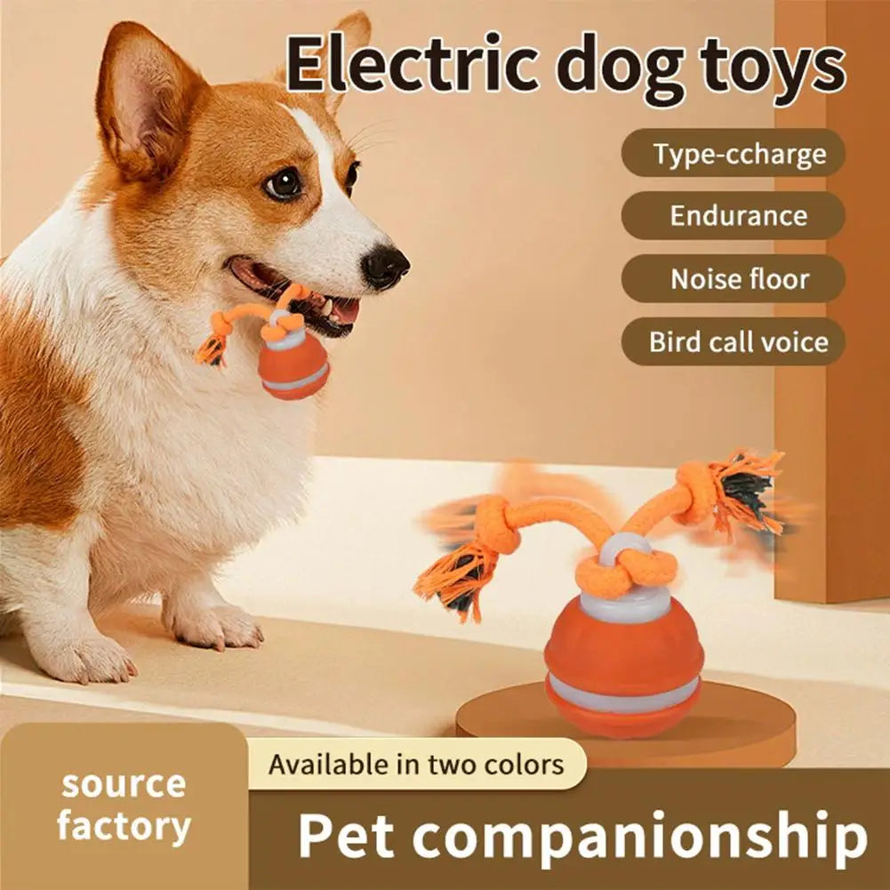 Interactive Dog Toy Ball with Rope Electronic Motion Activated Rolling Ball for Indoor Cat Dog Play Toys for Puppy Training Ball
