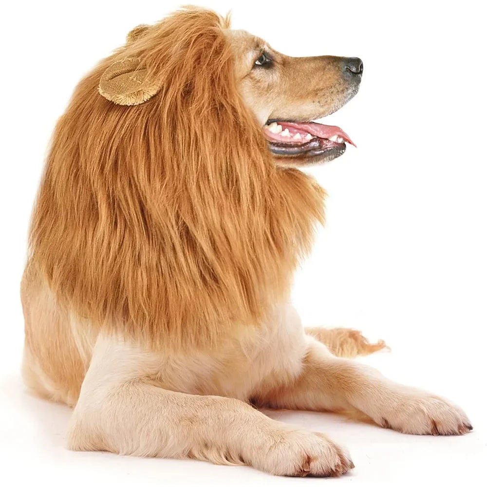Large Dog Ears, Pet Accessories Cute Pet Dog Role-playing Costumes Lion Mane Dog Costumes Realistic Lion Wigs