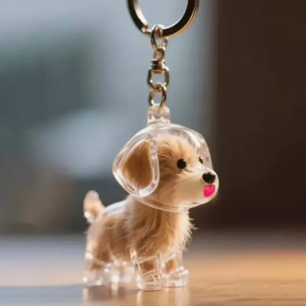 Dog Hair Storage Pendant Cute Keychain Bag Pendant Couple Car Key Chains Jewelry Souvenir Collection Gift Decoration Accessories