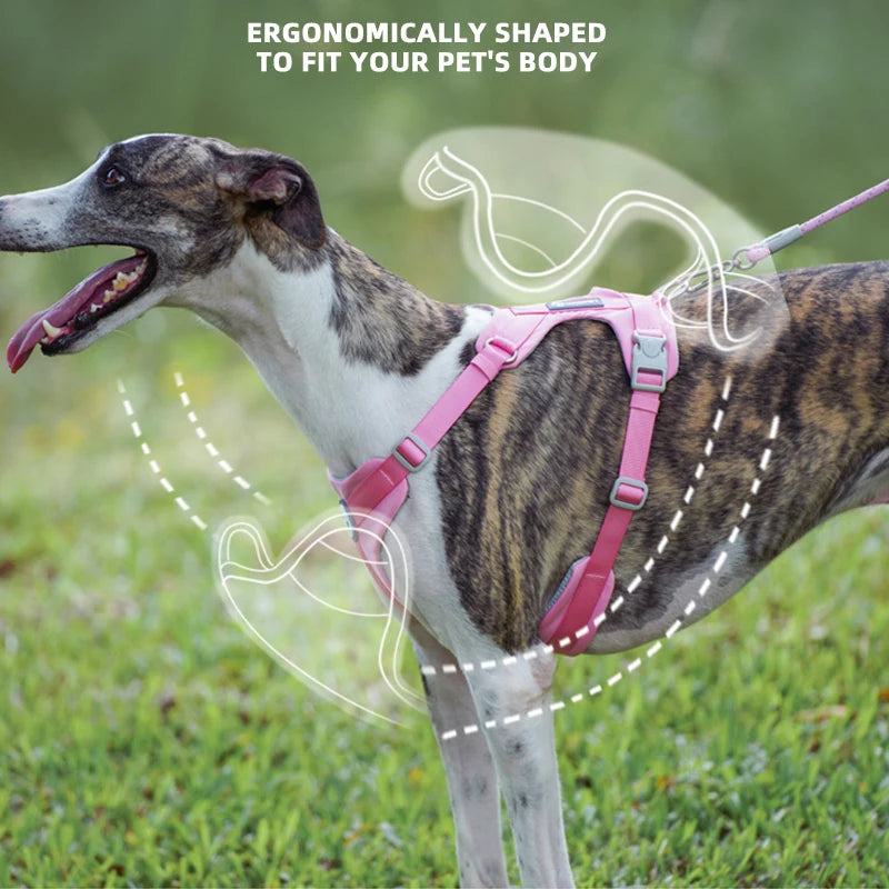 Dog Breathable Harness NO PULL Pet Reflective Harness Vest For Small Large Dog Walk Training In Outdoor Lead Collar Pet Supplies