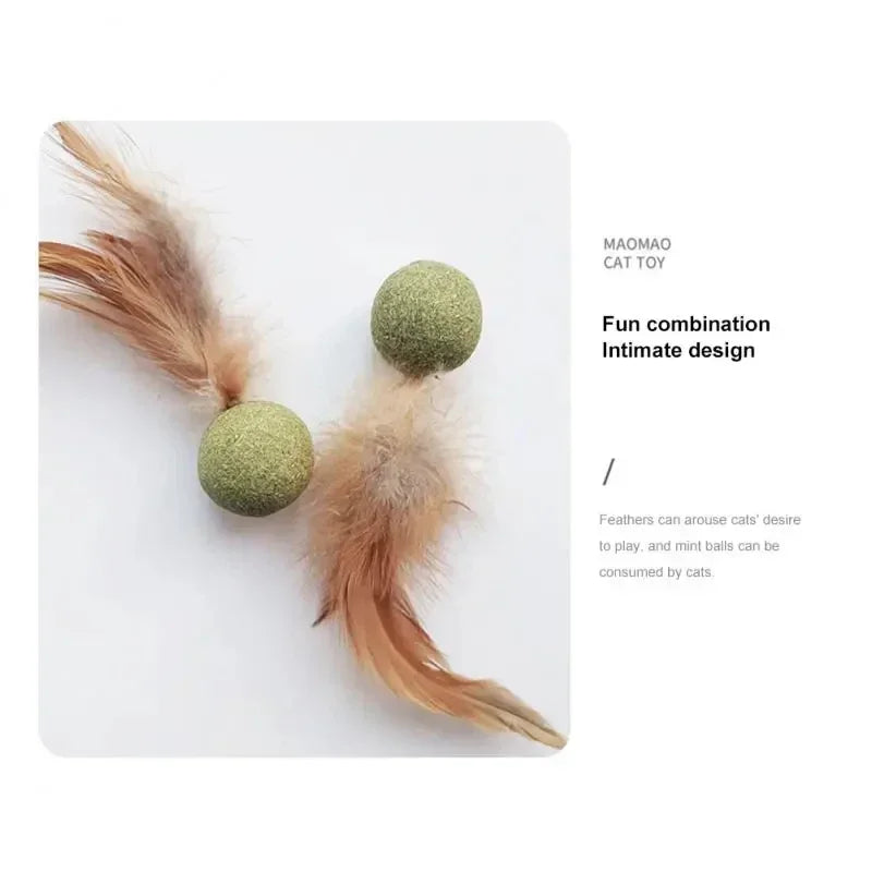 Pet Catnip Toys Edible Catnip Ball Healthy Cat Mint Cats Household Chasing Game Toy Products Cleaning Teeth Pet Toy Supplies