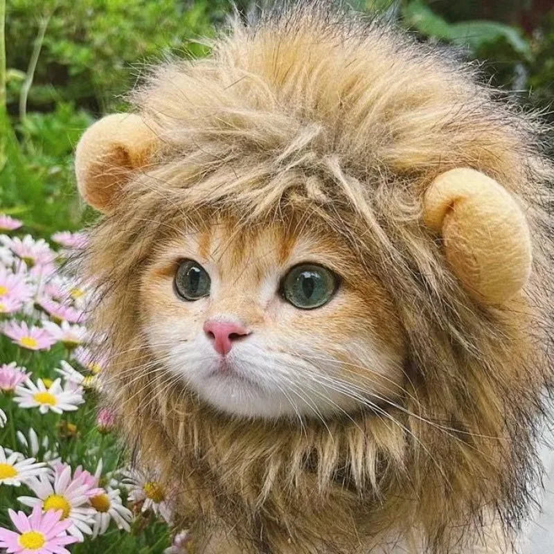 New Cute Funny Lion Mane Wig Hat for Pets Cat Dog Cosplay Costume with Ears Fancy Party Supplies