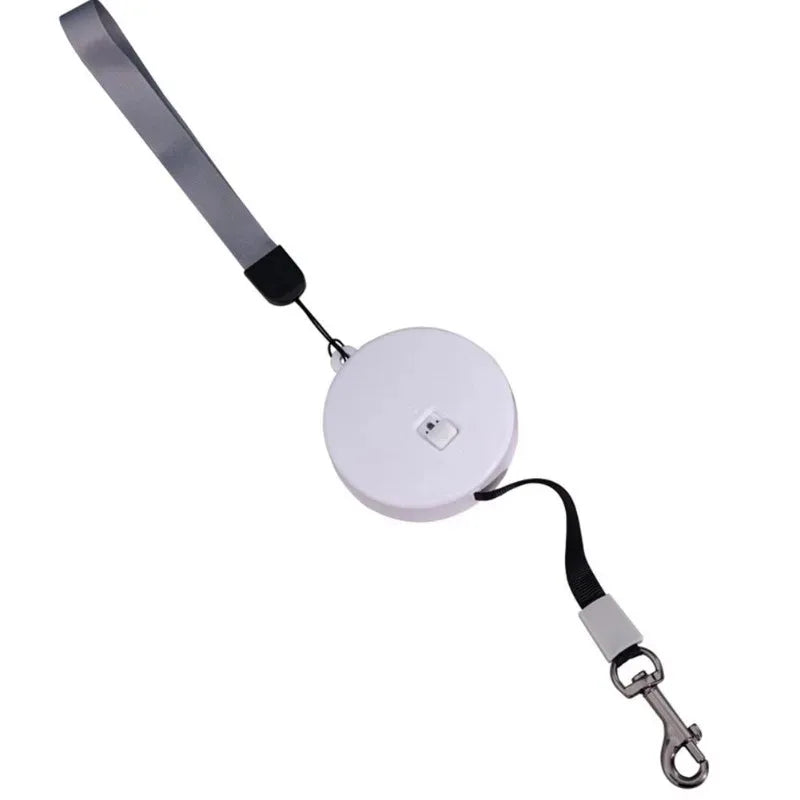 2M/3M Retractable Mini Dog Leash Automatic Flexible Dog Puppy Cat Traction Rope Belt Dog Leash for Small Medium Dogs Pet Product