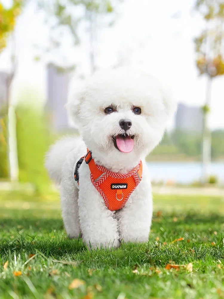 Reflective Breathable Dog Harness and Leash Set Pet Chest Strap Dopamine Pet Supplies Dog Accessories for Small Dogs