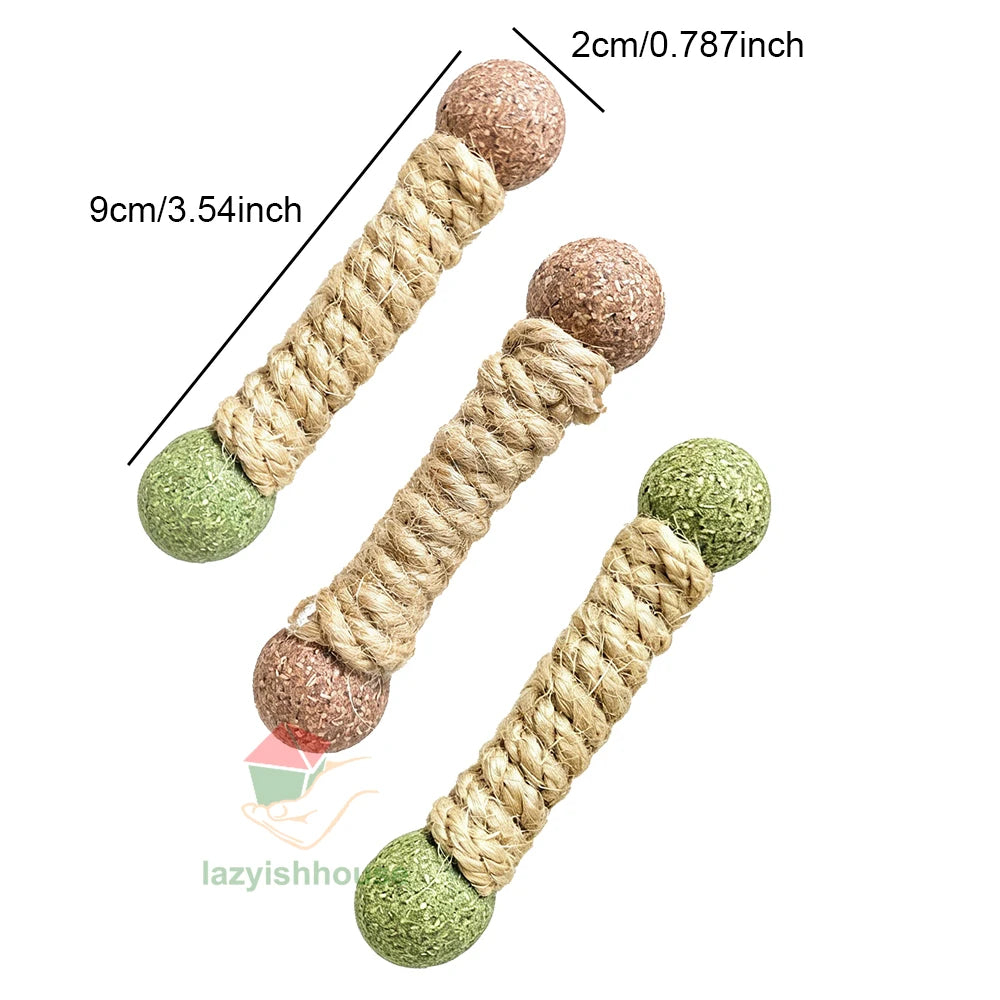 1pc Cat Cleaning Teeth Pure Natural Catnip Cat Molar Toothpaste Stick Silvervine Actinidia Fruit Matatabi Cat Snack Stick