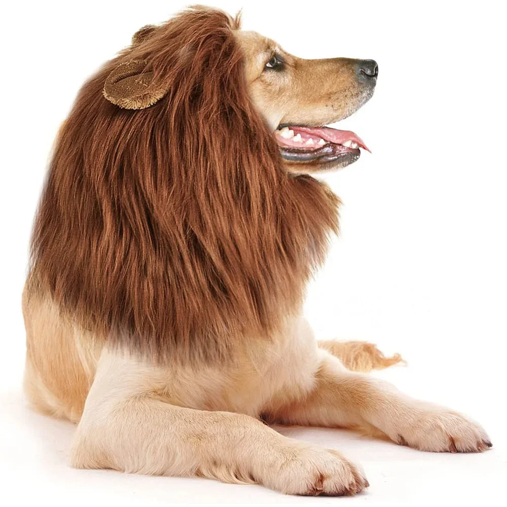 Large Dog Ears, Pet Accessories Cute Pet Dog Role-playing Costumes Lion Mane Dog Costumes Realistic Lion Wigs