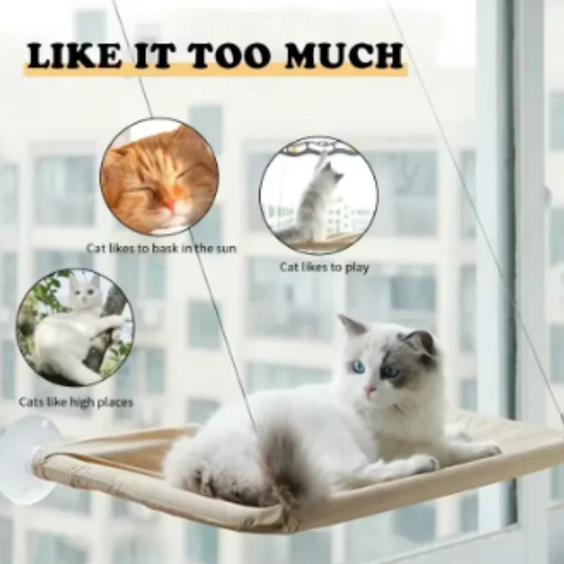 20kg Capacity Cat Hammock with Rock Climbing Frame Comfortable Sunny Window Seat Hanging Pet Bed for Kittens New Pet Supplies