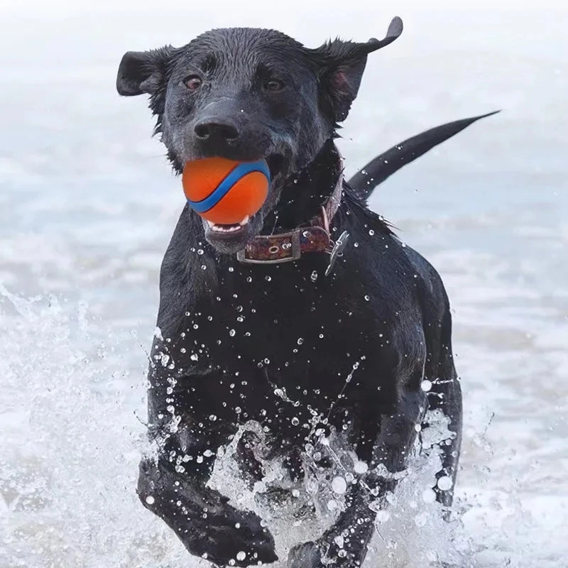 Dog Toy Ball Dog Fetch Ball Toy Tough Pet Ball Puppy Chew Toy Solid Elastic Jumping Ball Pet Accessories For Large Medium Small