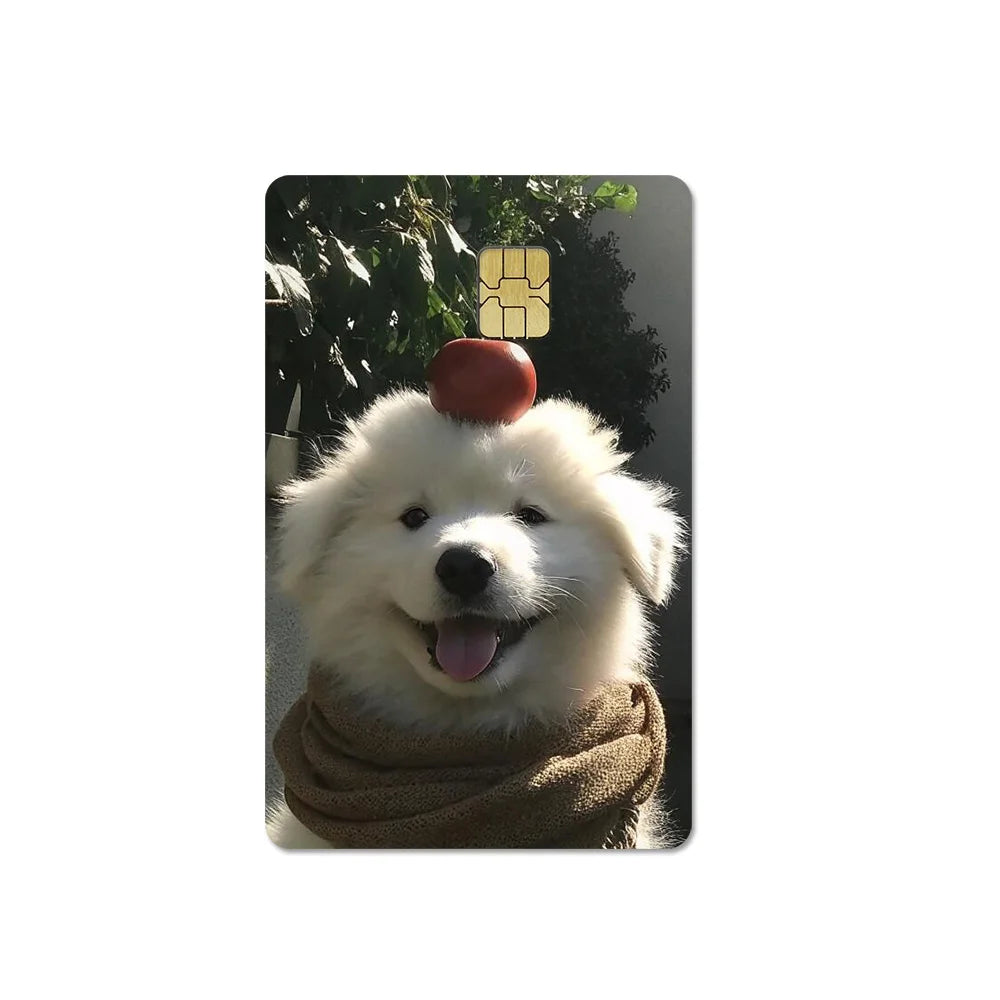 Cute Pet Puppy Kitten Lamb Credit Debit Card Sticker Bread Dog Bus Pass DIY Waterproof Small Chip Film Sticker Decoration Gift