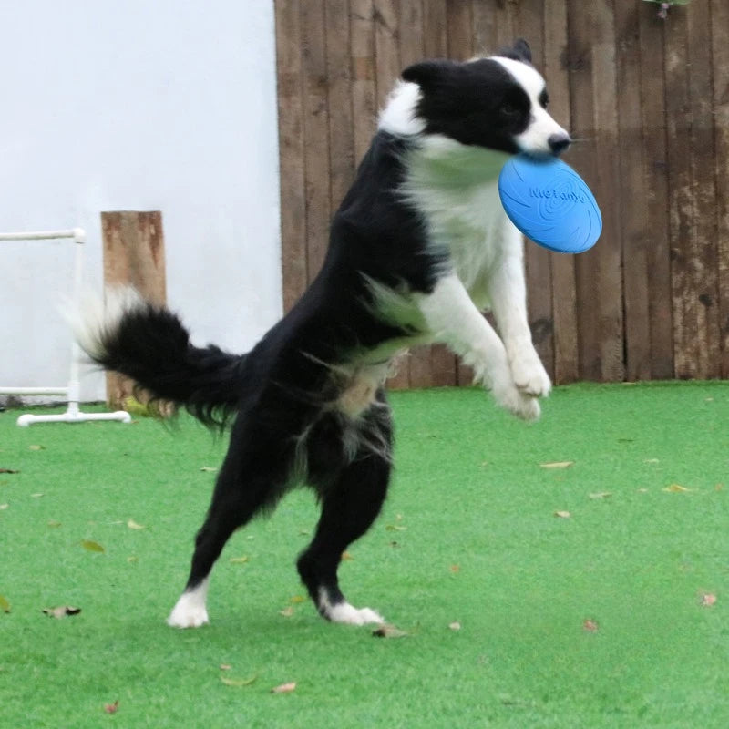 Dog Frisbee, Border Animal Pet Dog Special Frisbee Bite Resistance Training Frisbee Pull Back Standard Dog Toys Pet Products