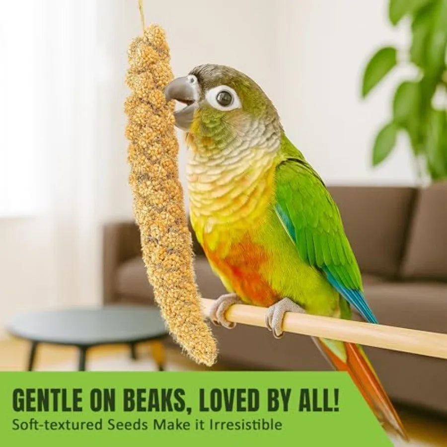 Bird Spray Millet for Parakeets Finches Canaries Budgies Small Birds, Sun-Dried Vacuum-Sealed Freshness, Yellow Brown Color