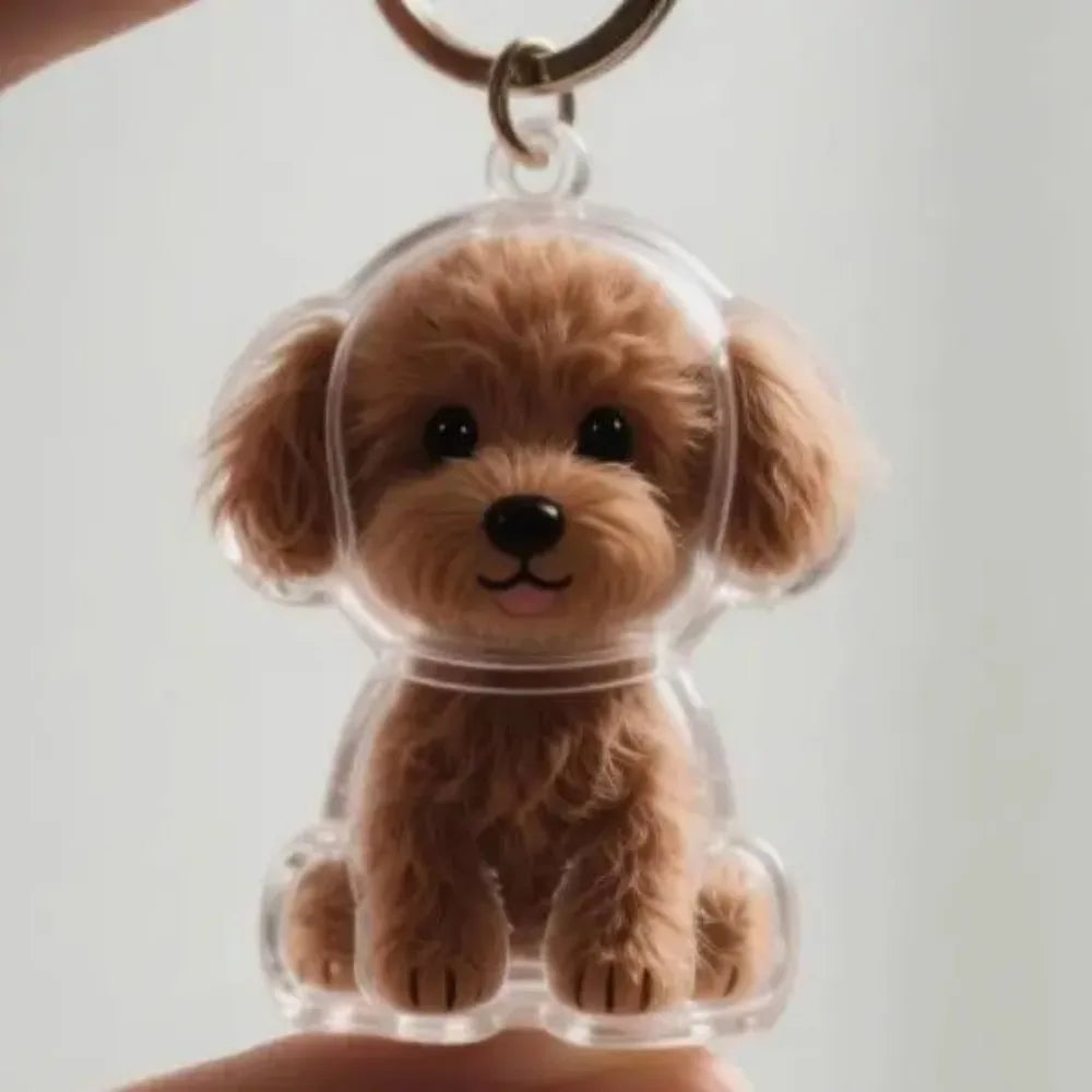 Dog Hair Storage Pendant Cute Keychain Bag Pendant Couple Car Key Chains Jewelry Souvenir Collection Gift Decoration Accessories