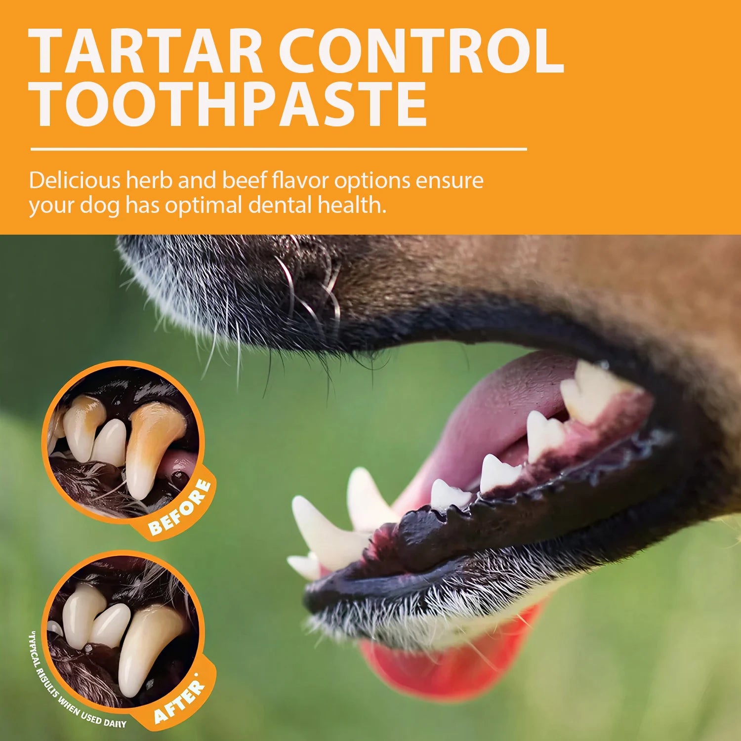 Pet Cleaning Tools Kit Dog Gum Care Products Kit Reduces Plaque & Tartar Buildup for Pet Universal Toothpaste Toothbrush Set