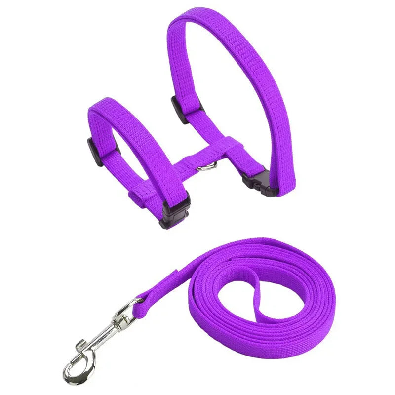 Kitten Cat Harness Leash Set Walking Escape Proof Adjustable Nylon Halter Collar Harness for Cats Puppy Rabbit Pet Accessories