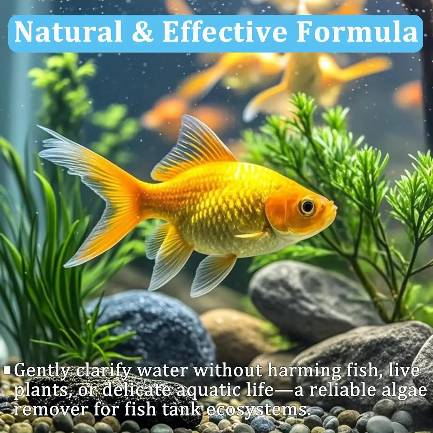 Aquarium Water Purification Tablets Fish Tank Clarifier Rapid Clear Turbidity Clean Ecosystem Care Pet Fish Health Accessories