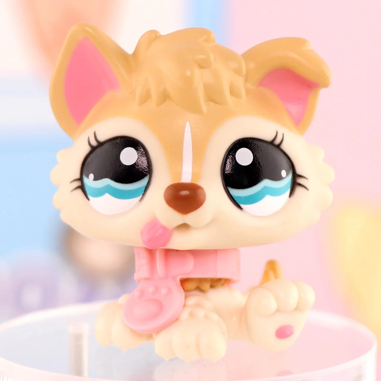 Pet Shop Short Hair Cat Dachshund Collie Deer More Different Choice Cat/Dog Puppy Kids Gift Set