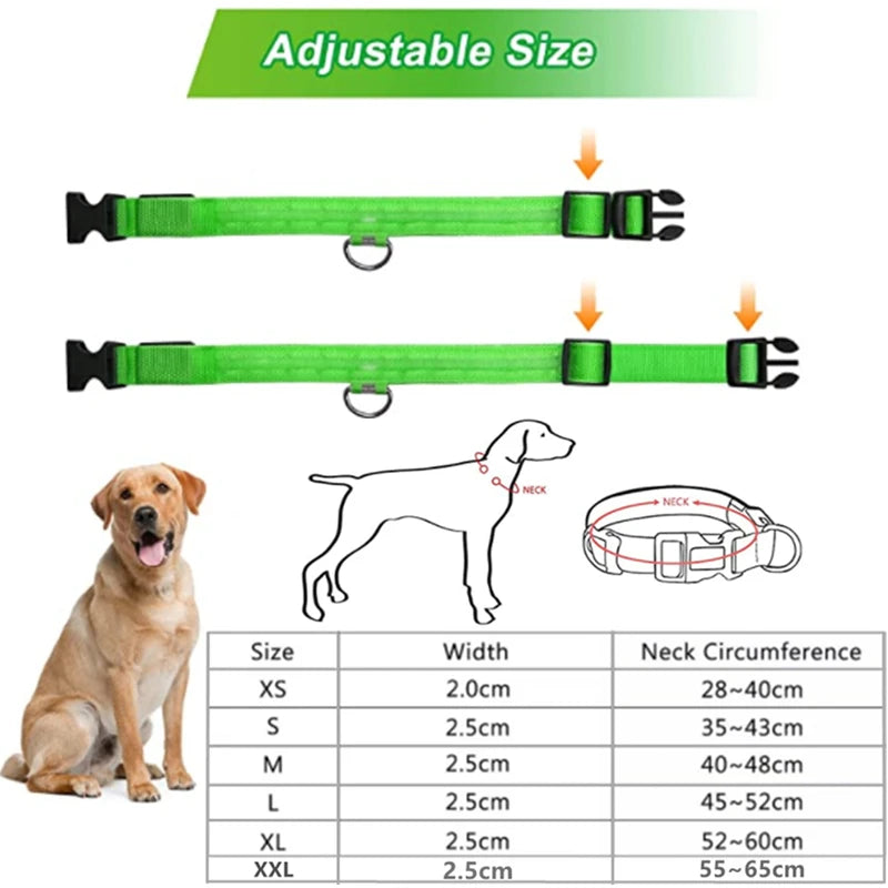 LED Luminous Collar Adjustable Glowing Dog Collar USB Rechargea  Flashing Anti-Lost/Avoid Car Accident Collar Dogs Pet Products