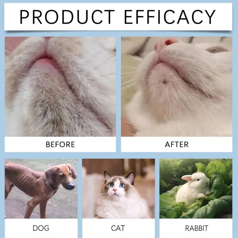30g Pet Chin Cleaner Blackhead Cleaning Lotion Pet Chin Acne Care Brush Grooming Supplies Tooth Stain Remover For Dogs Cats