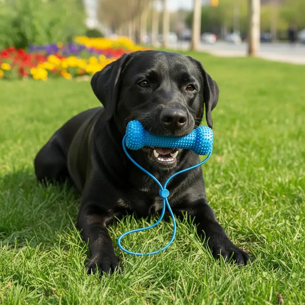 Dog Toothbrushing Chew Toy with Interactive Tug Rop Rubber Bone Teeth Cleaning Toy  for Small Medium Dogs Grinding Outdoor Play