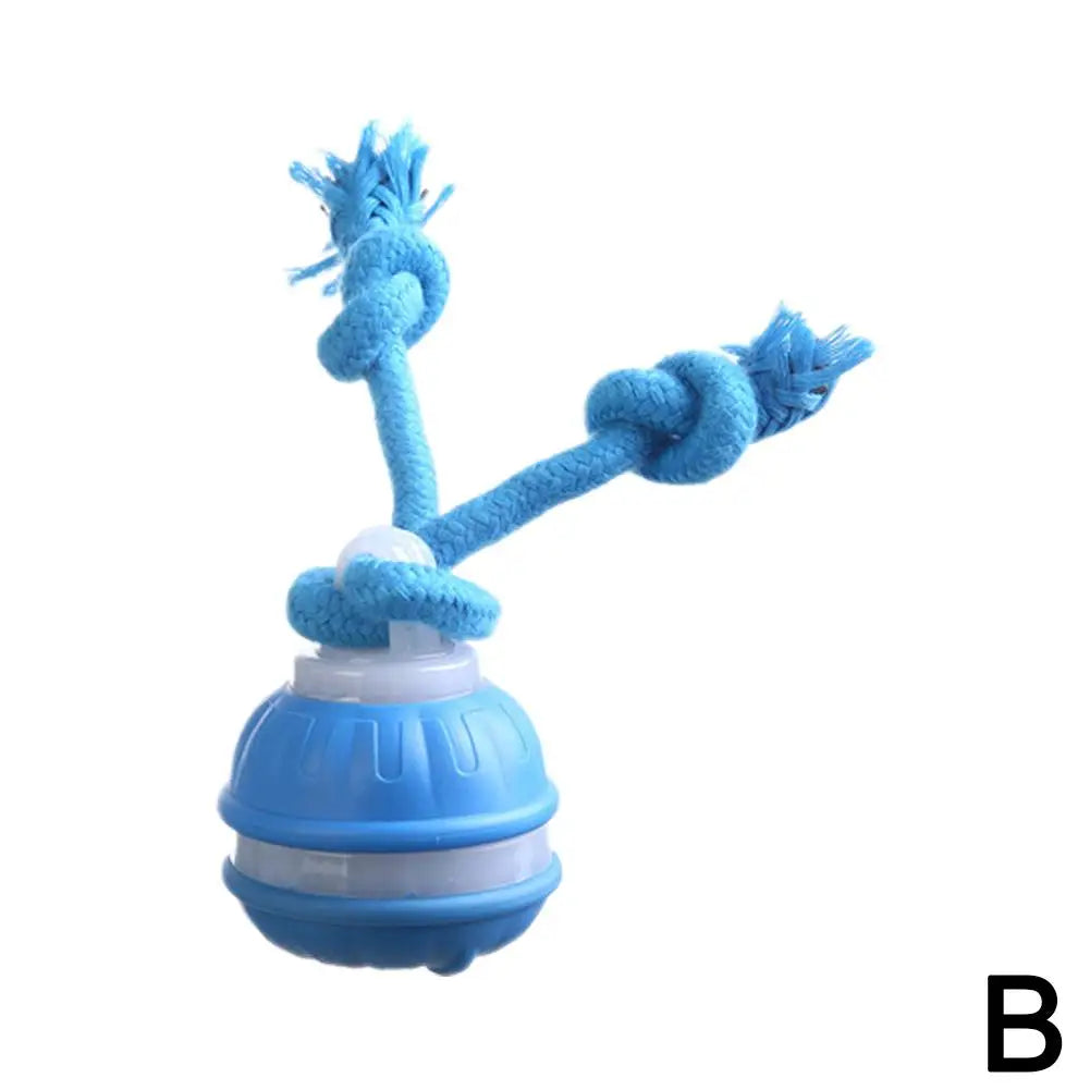 Interactive Dog Toy Ball with Rope Electronic Motion Activated Rolling Ball for Indoor Cat Dog Play Toys for Puppy Training Ball