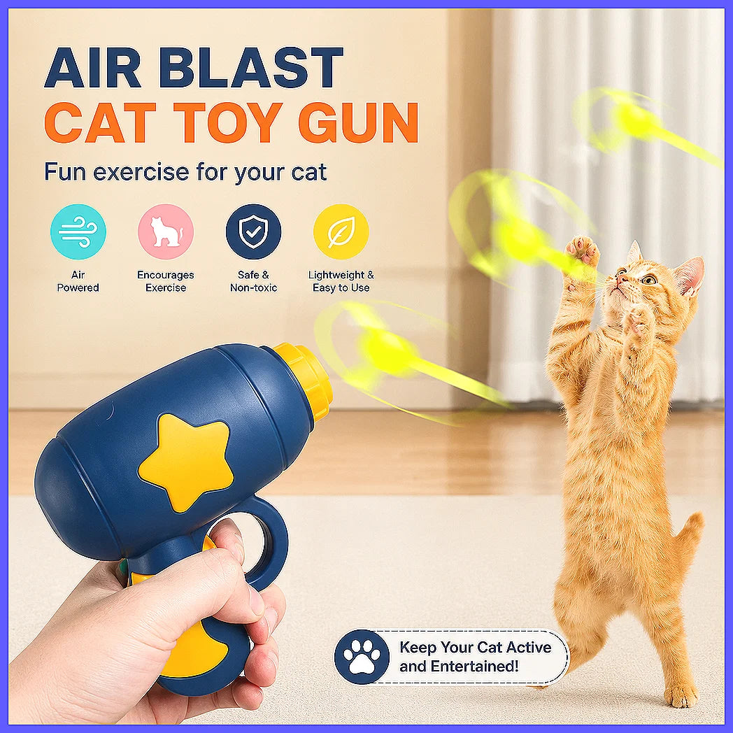 Funny Interactive Cat Toy Launcher Gun Mini Flying Disc Shooting Chaser for Kitten Training Games, Auto Eject Pet Supplies Gi